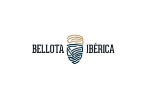 grupo-dream-marketing-digital-cliente-bellota-iberica